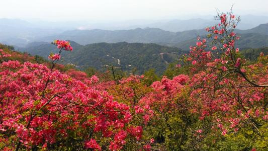 歙縣：高山好風景 引客促脫貧